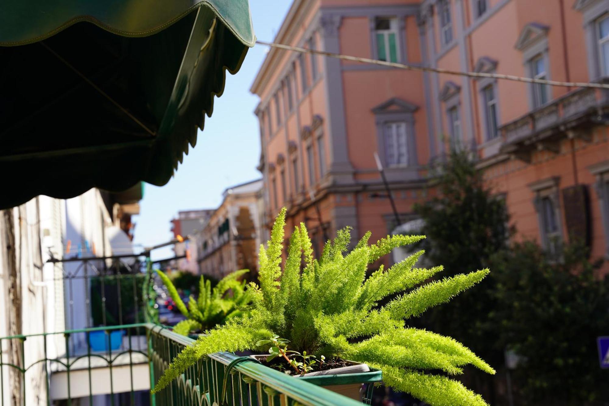 Bed and Breakfast La Maison Di Donna Elena Cercola Zewnętrze zdjęcie